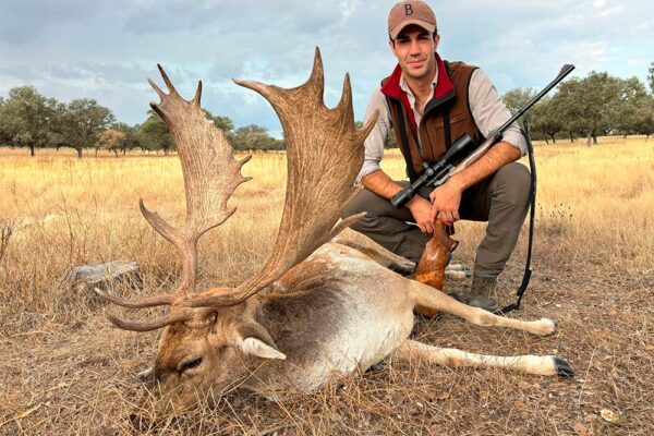 fallow deer hunting in spain spanish monteria hunting agency in spain