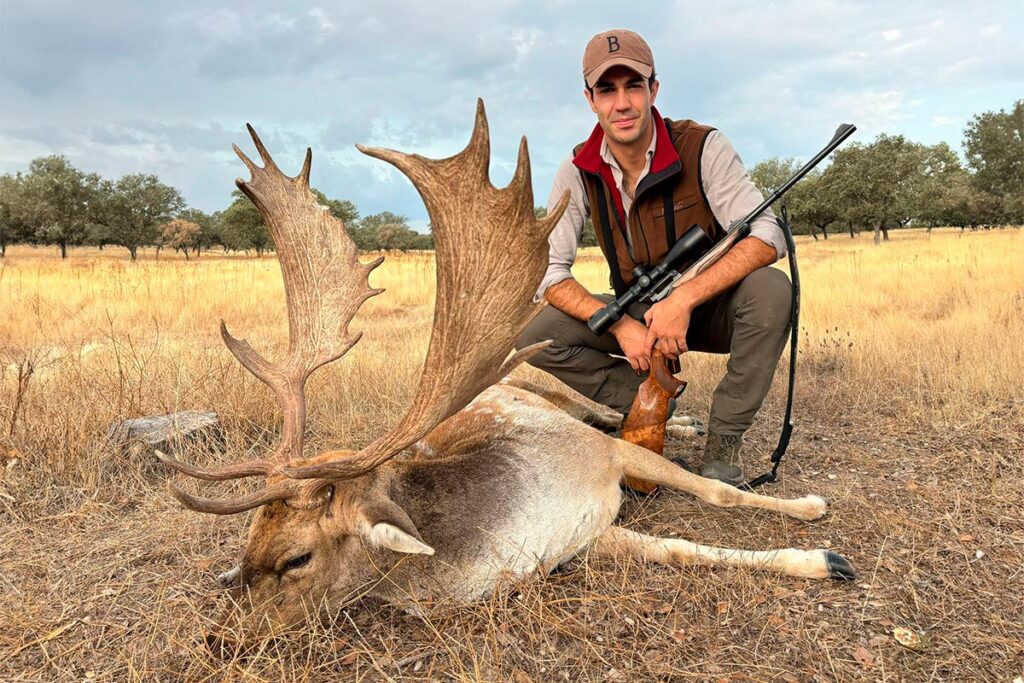 fallow deer hunting in spain spanish outfitter hunting agency in spain