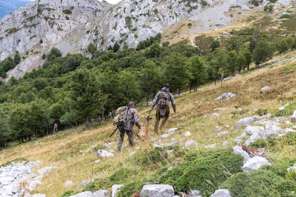 hunting cantabrian chamois in spain stalking in spain cazar rebeco en espana