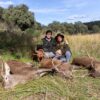 driven hunt in spain spanish monteria