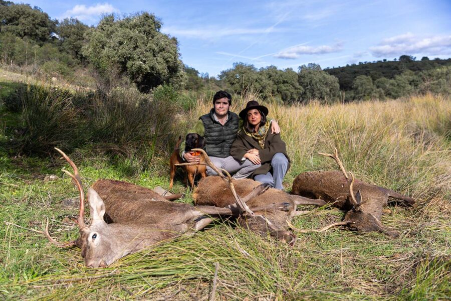 driven hunt in spain spanish monteria