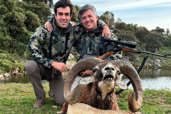 hunting guided hunt spain mouflon