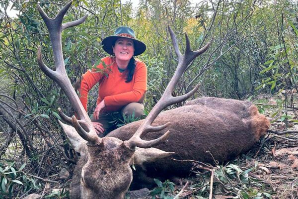 hunting-guided-in-spain