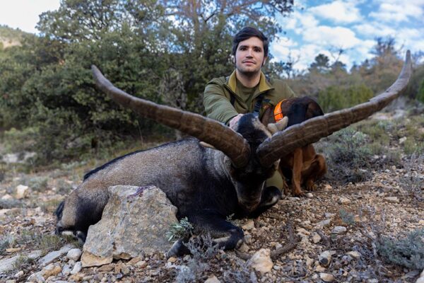 hunting-guided-spain