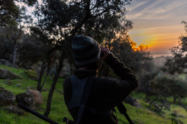 hunting-mouflon-hunt-spain