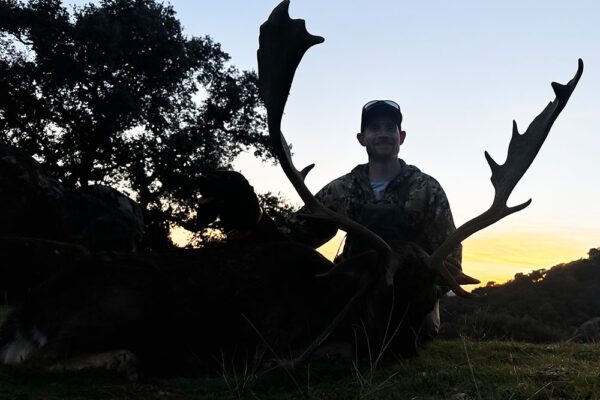 fallow deer hunting in spain hunt fallow deer in spain hunting guided