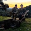 hunting outfitters in spain fallow deer hunting in spain hunt fallow deer