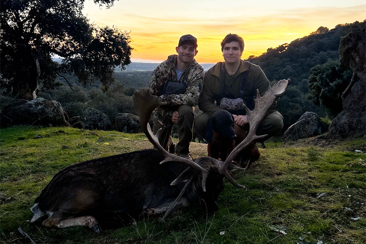 hunting outfitters in spain fallow deer hunting in spain hunt fallow deer