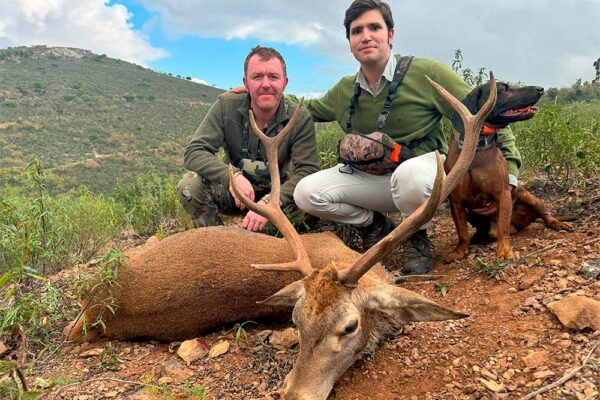 hunting-outfitters-monteria-in-spain-spanish-monteria-driven-hunt-in-spain