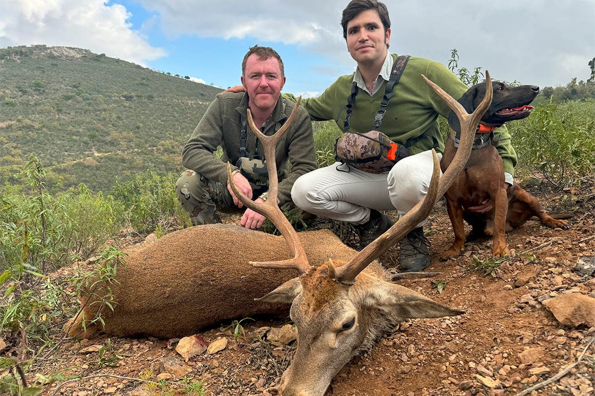 monteria in spain spanish monteria driven hunt in spain spanish outfitters