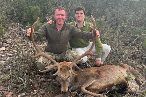 monteria in spain spanish monteria driven hunt pourvoyeur espagnol