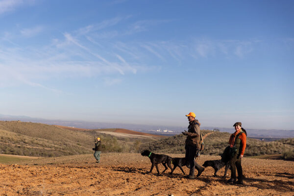 red-legged-partridge-shooting-in-spain-small-game-hunting-in-spain