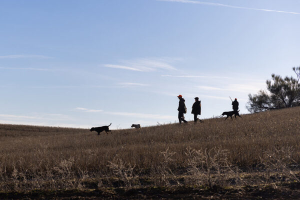 small-game-hunting-in-spain-red-legged-partridge-hunting-in-spain-hunting-excursions-1