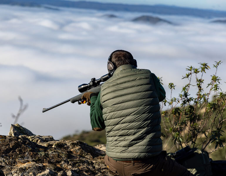 driven hunting in spain