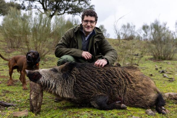hog-hunting-driven-hunting