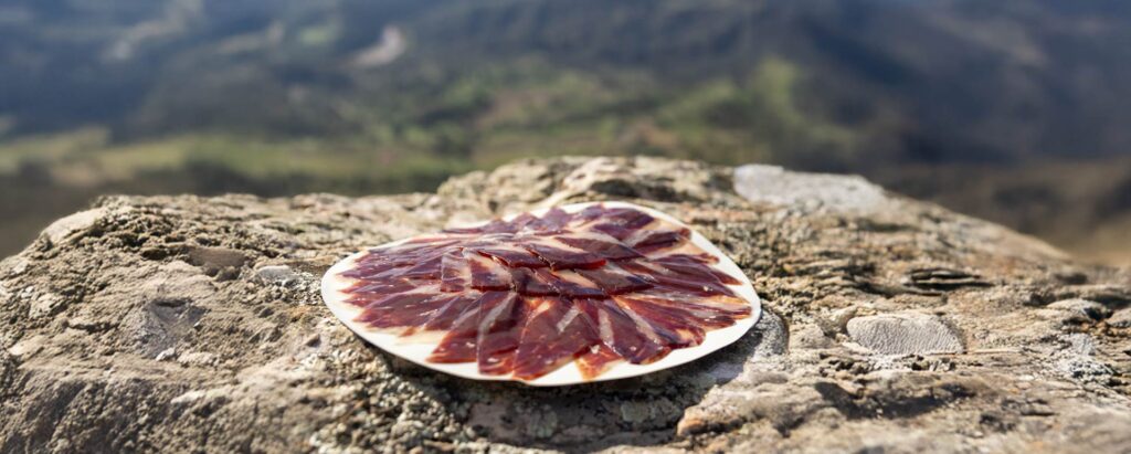 Ronda Ibex Hunting 4 Traditional Spanish ham enjoyed during a Ronda Ibex hunting trip in Spain's mountains