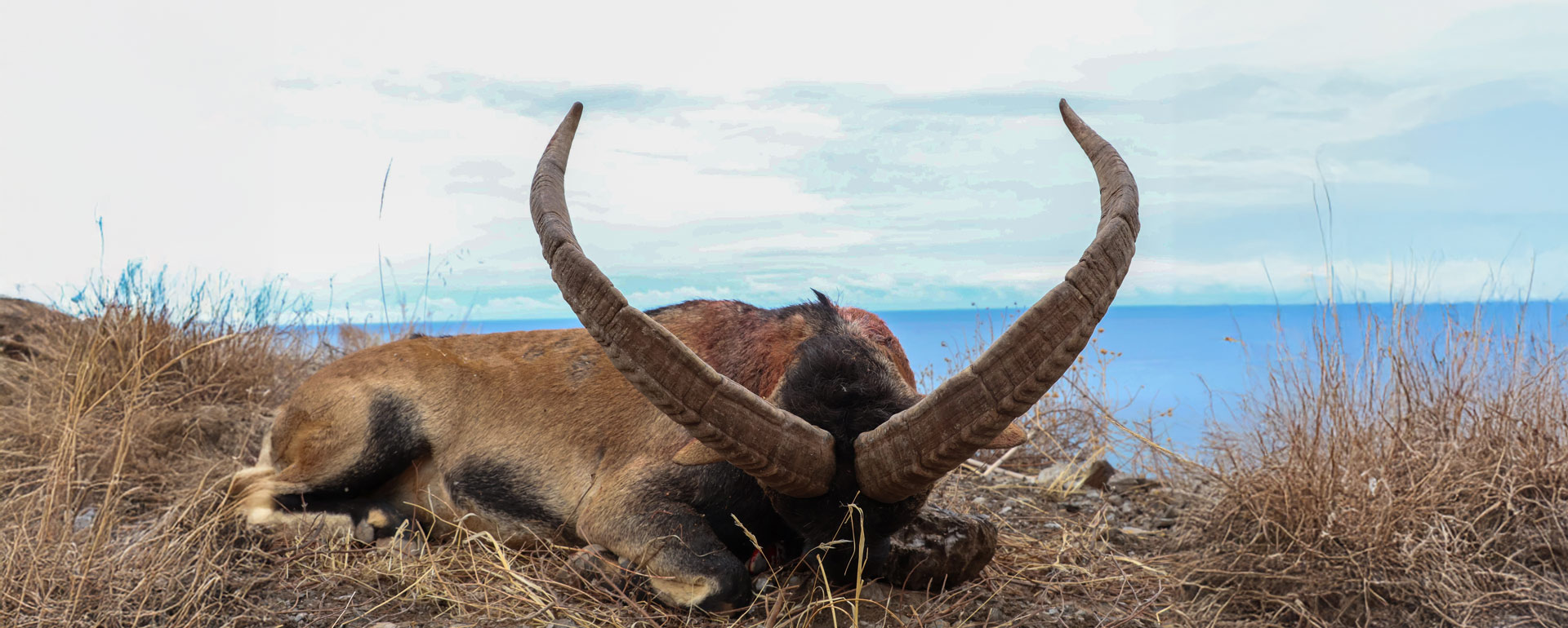 southeastern ibex hunting