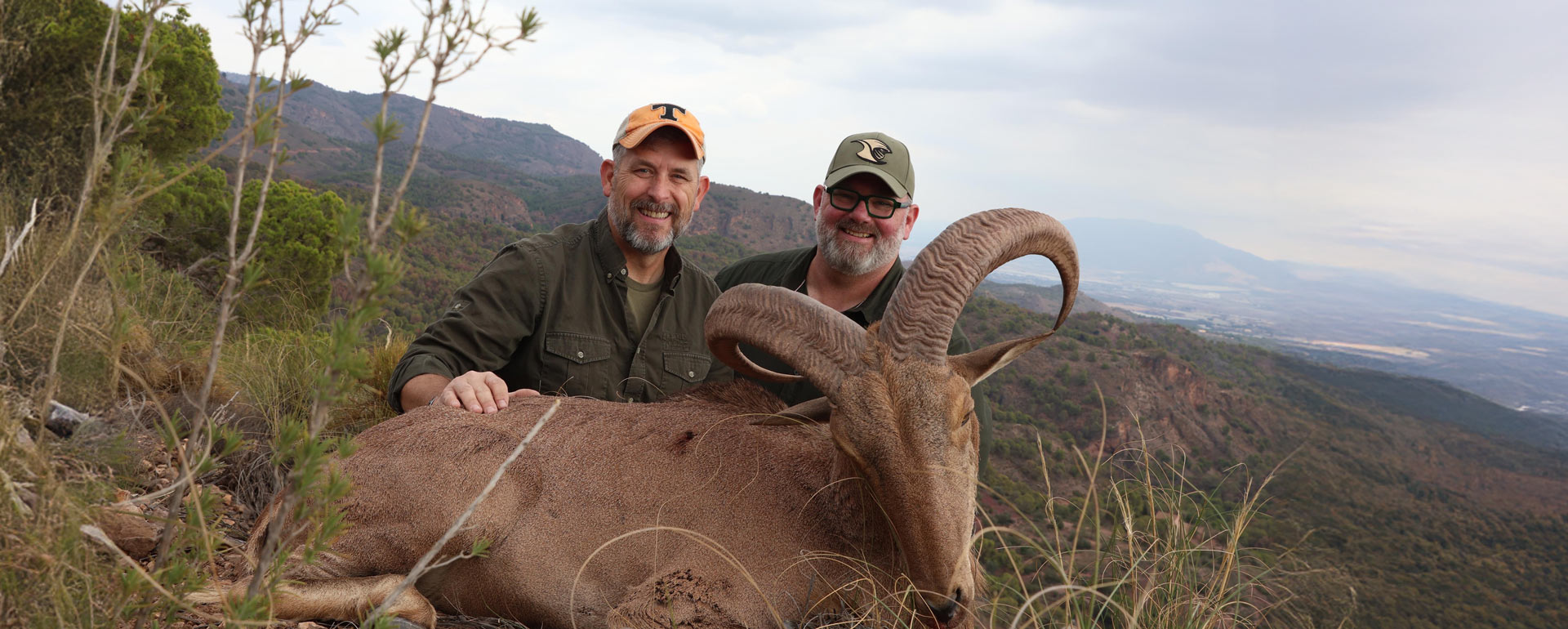 aoudad hunts in spain