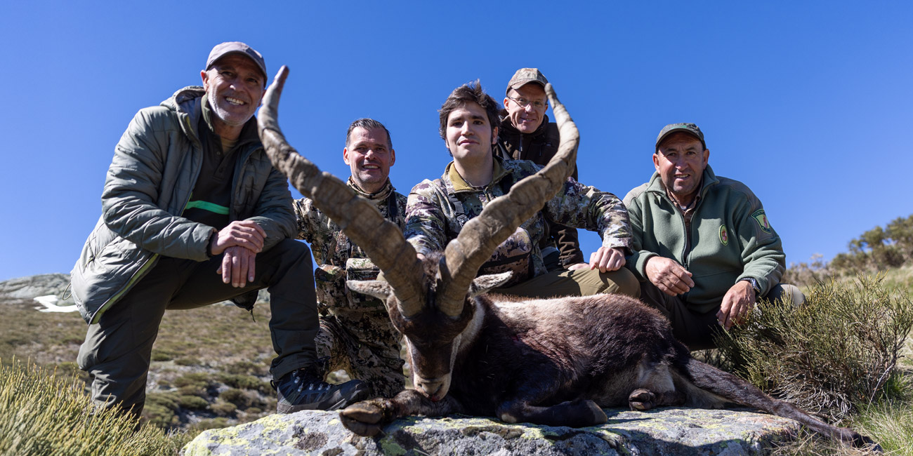 bowhunting gold gredos ibex in spain