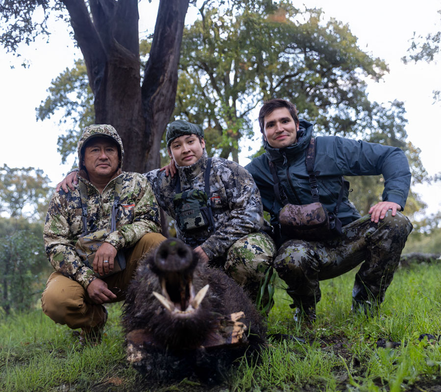 Wild boar hunting in Spain 1 european wild boar hunting experience in spain