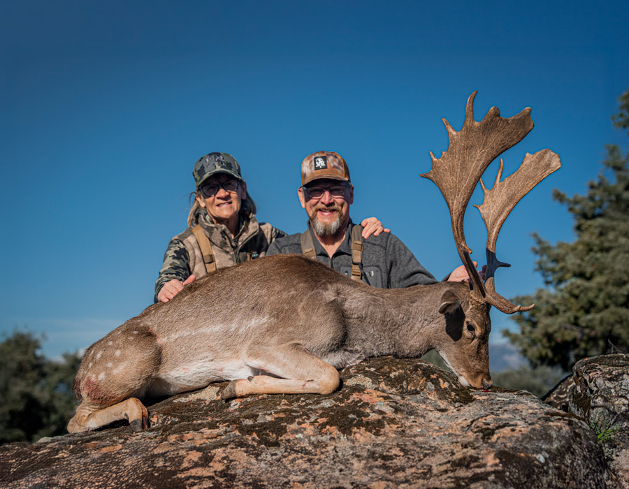 fallow deer hunting in spain prices