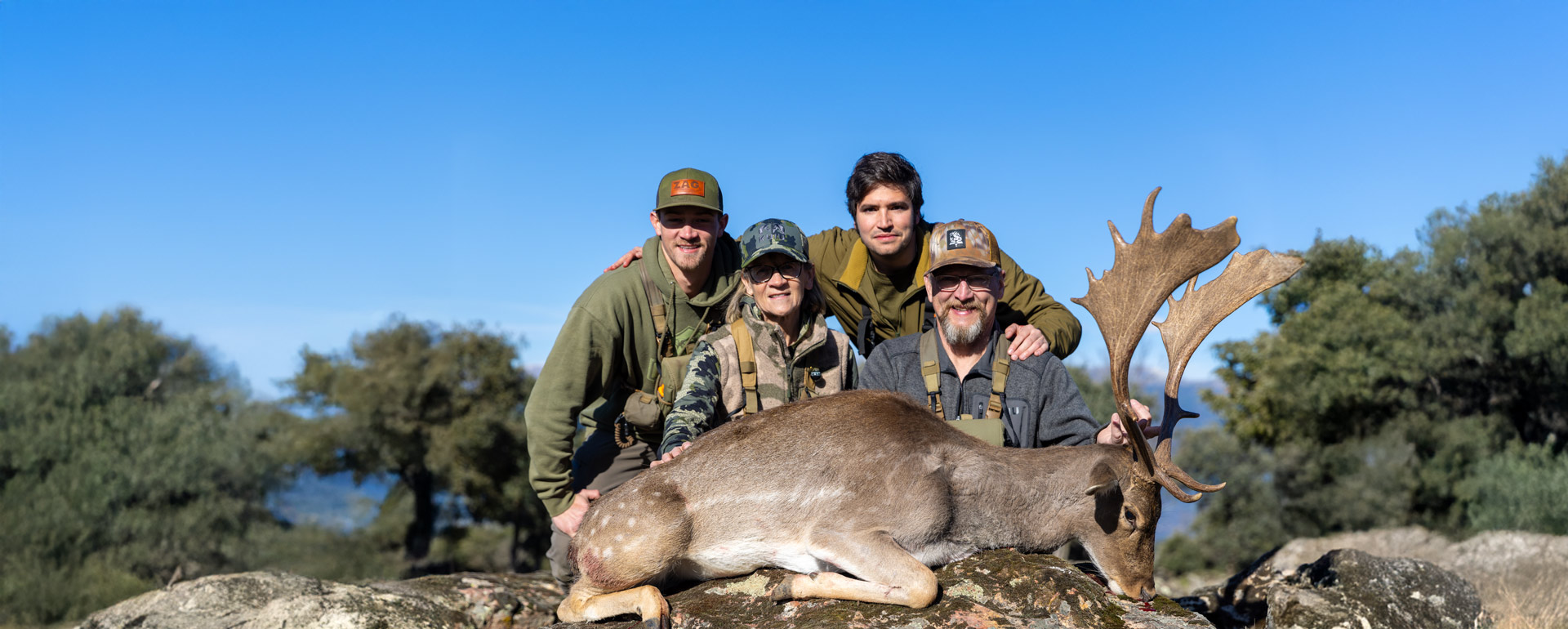 fallow deer huntung in spain