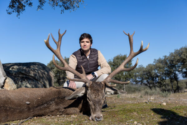 gold red deer monteria in spain