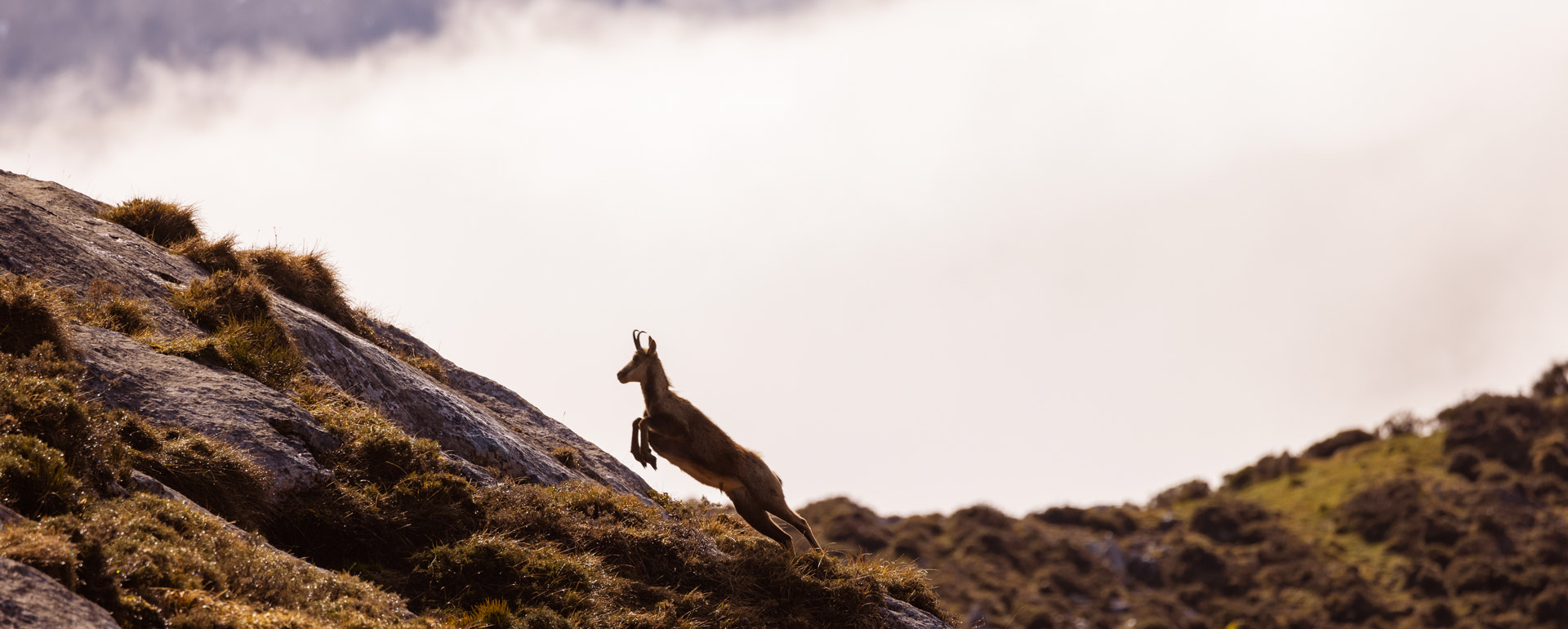 Why Spain Hunting Season Matters in 2025