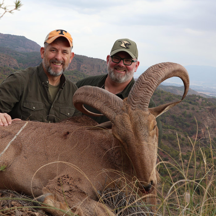 Hunt in spain 3 prices barbery sheep hunts