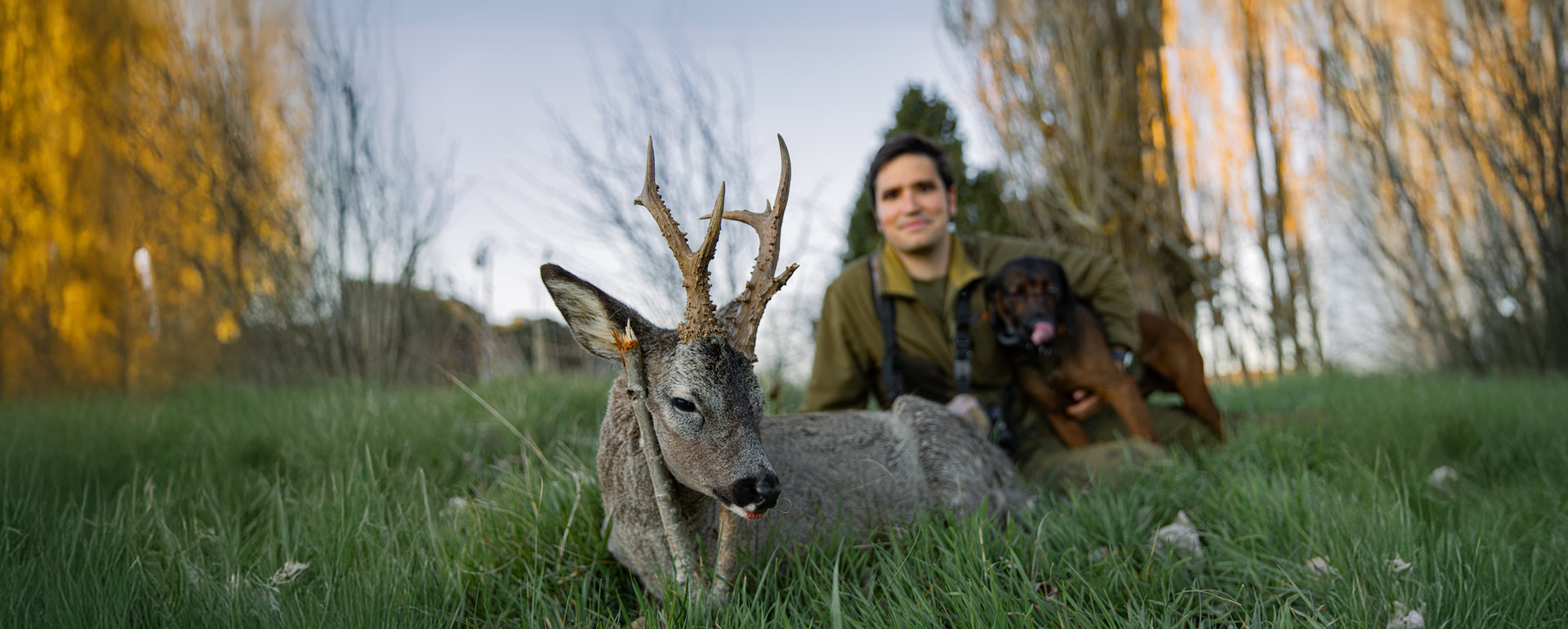 roe deer hunts in spain