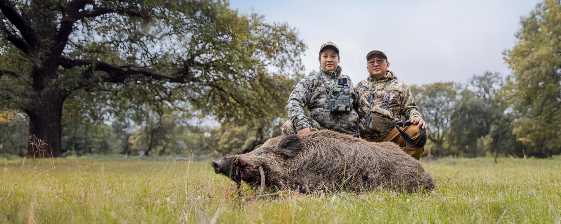 wild boar hunting in spain