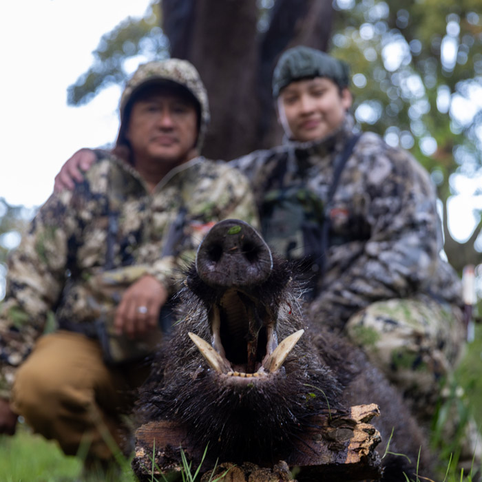 gold medal trophy wild boar