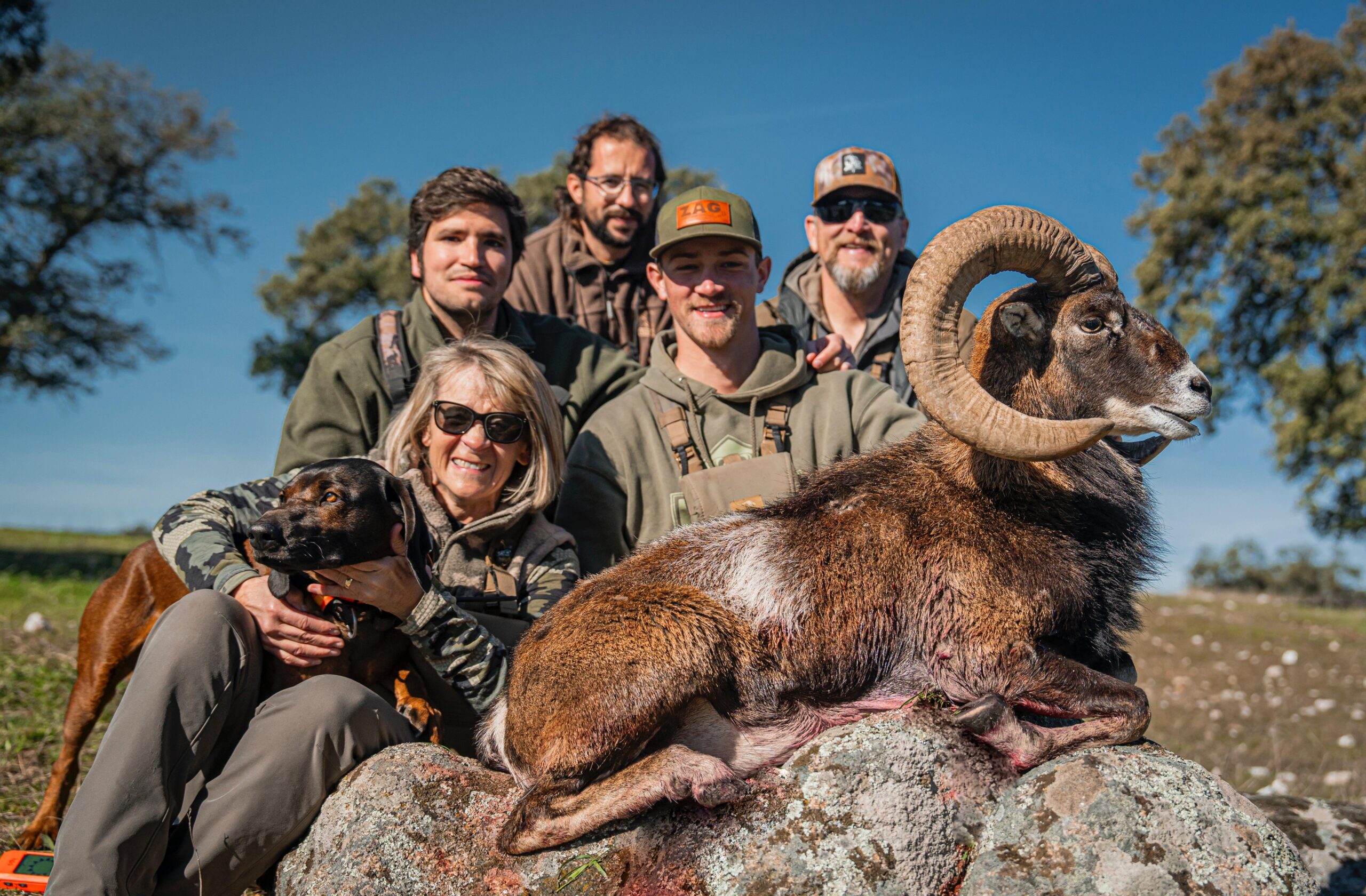 Hunters with a bighorn sheep.