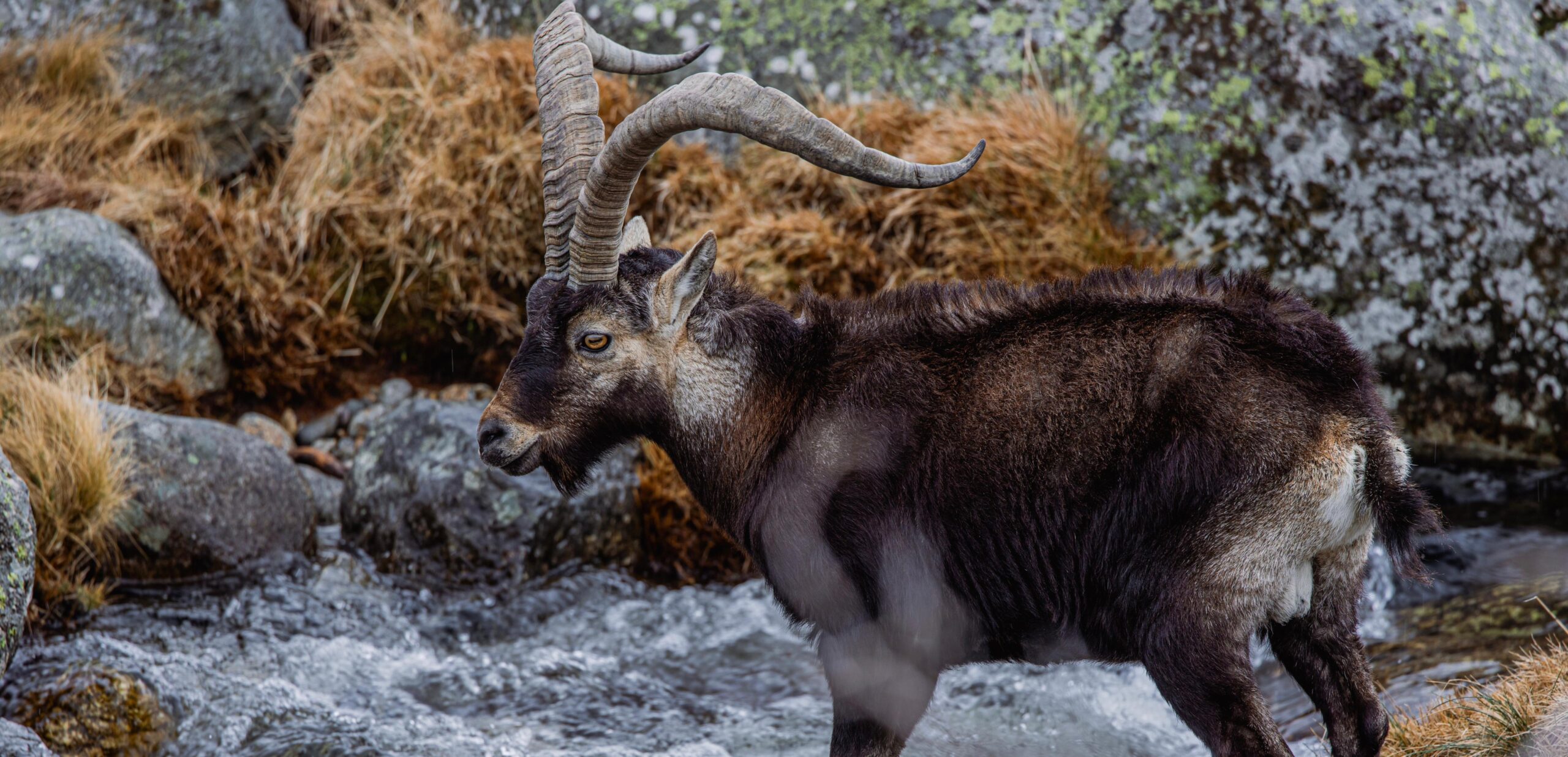 Why Hunting Still Matters in 2025