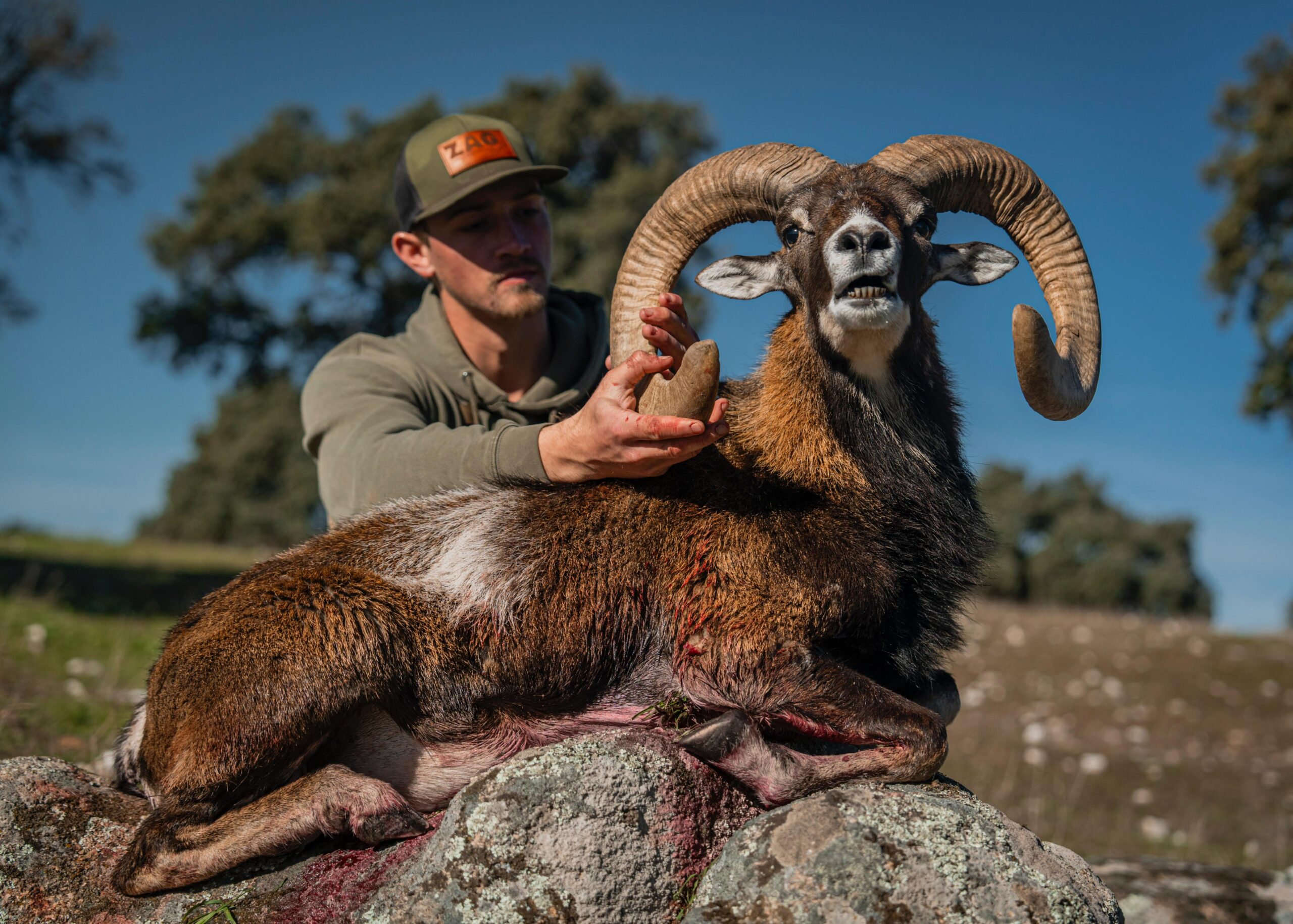 Guide for Foreign Hunters in Andalusia