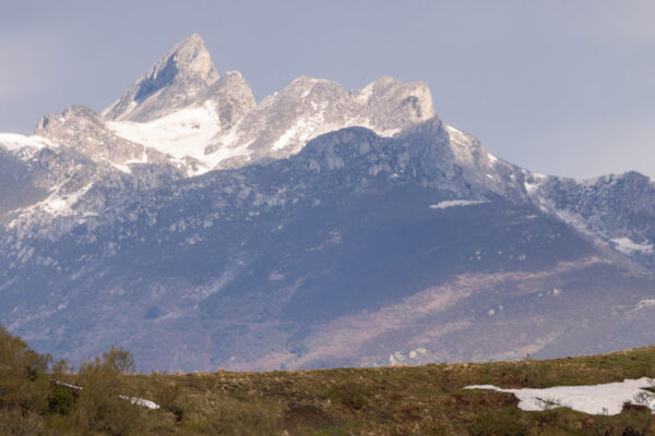 best hunting ibex areas in spain best hunting ibex areas in spain