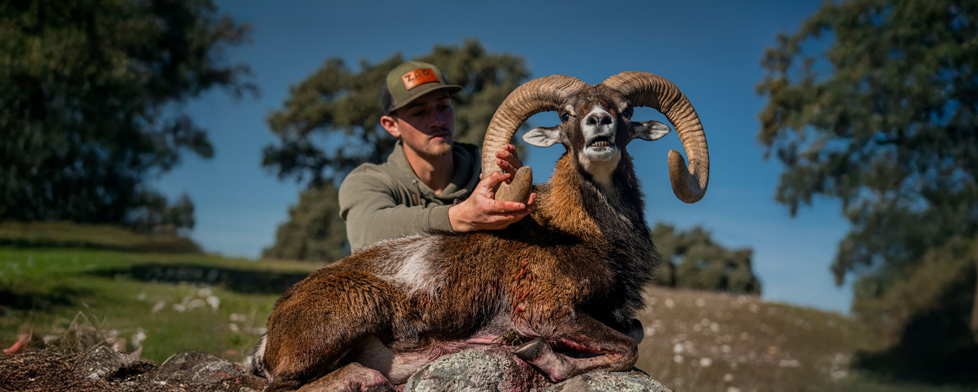 Mouflon Bowhunt in Spain: Logan’s Challenge