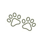 Landing Hunting Ibex in Spain 7 constants support logo