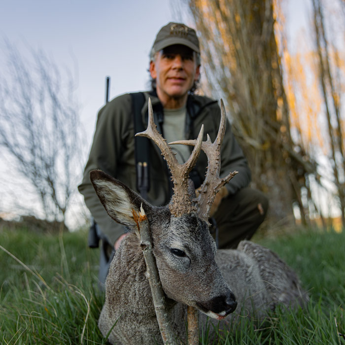 hunting experience hunt gold roe deer in spain