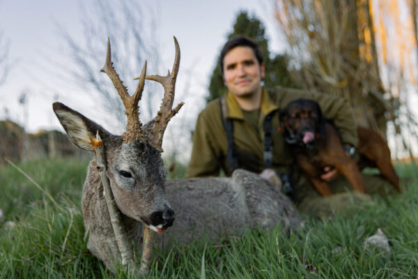 hunting roe deer in spain