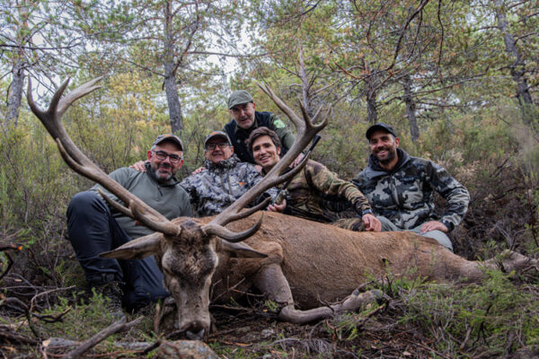 hunting trip in spain hunt red stag hunting trip in spain hunt red stag