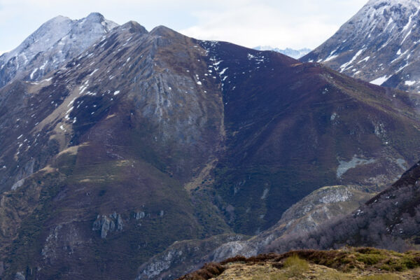 premium hunting areas in spain premium hunting areas in spain