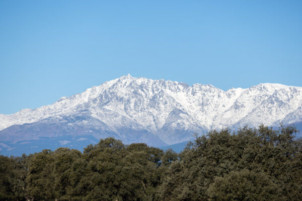 quality hunting ibex areas in spain quality hunting ibex areas in spain