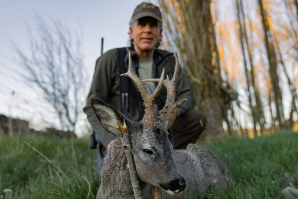 trophy roe deer