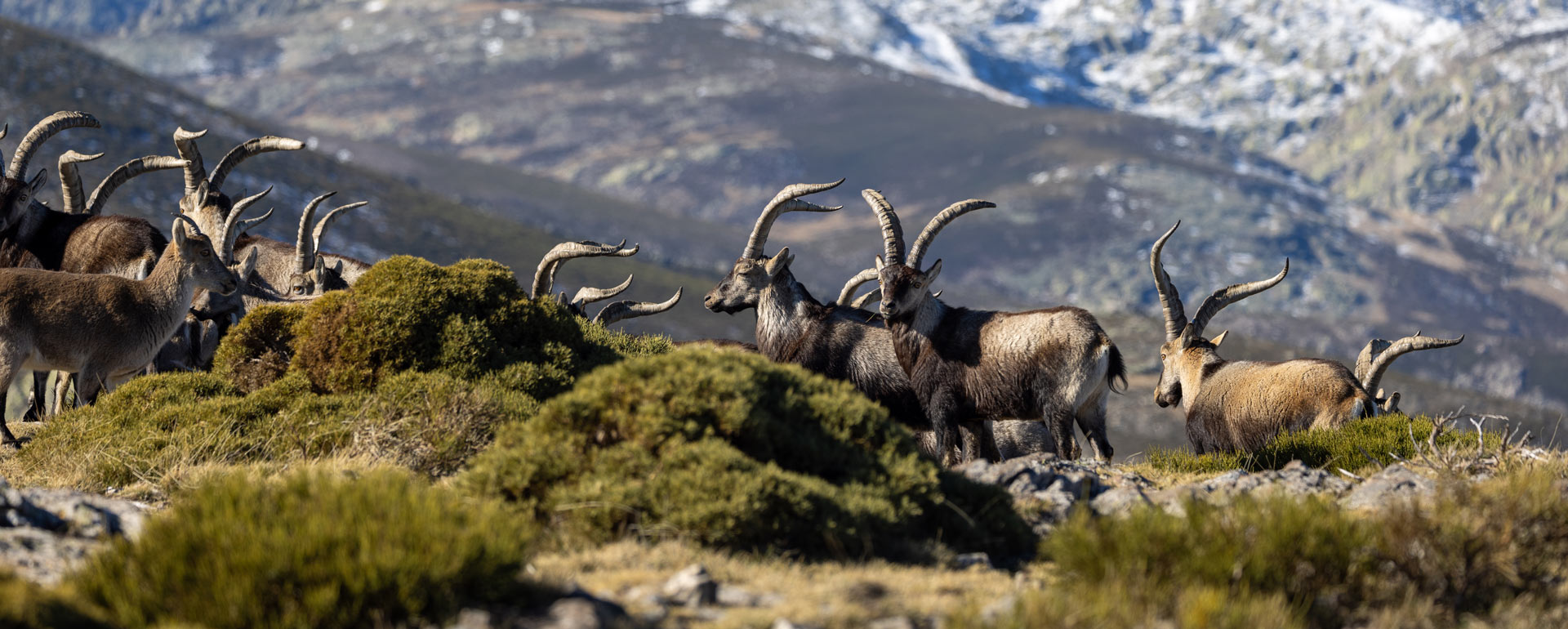 Christmas Gift Ideas for a Hunter