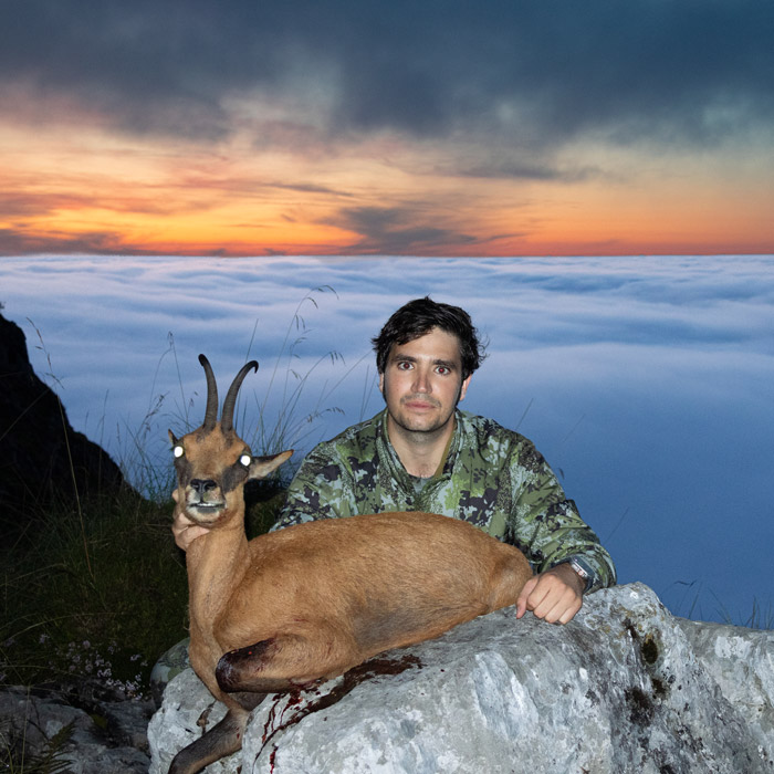 hunting in spain pyrenean chamois