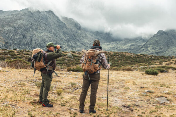 experts local guides