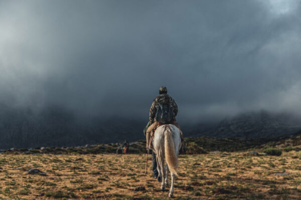 premium horseback hunt spain